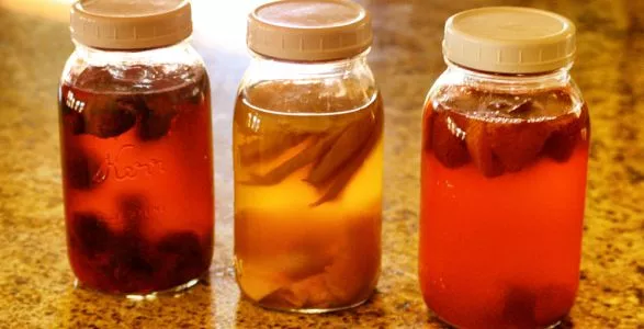 BIO Kombucha XL Scoby Starter & flüssig VERSANDKOSTENFREI natürlich angebaut