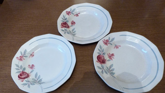 3 assiettes creuses anciennes/ceranord st amand/ABEILLE D'OR DECOR A LA MAIN