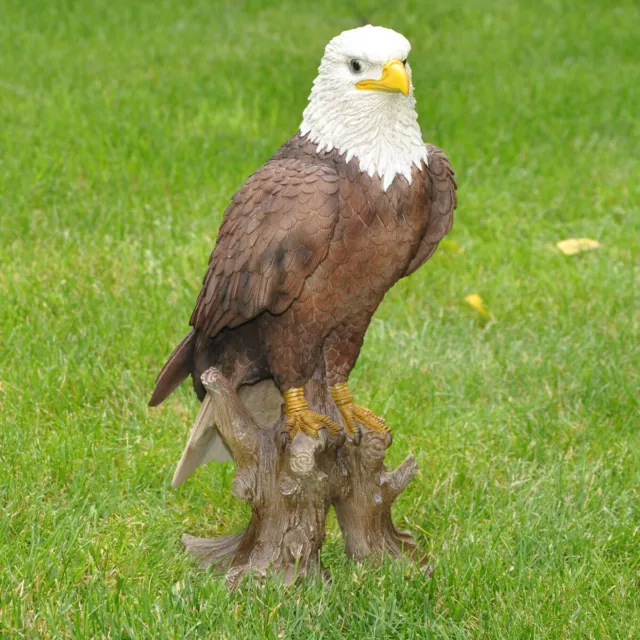 Gartenfigur Dekofigur Adler Weißkopfseeadler frostfest wetterfest Polyresin 39cm