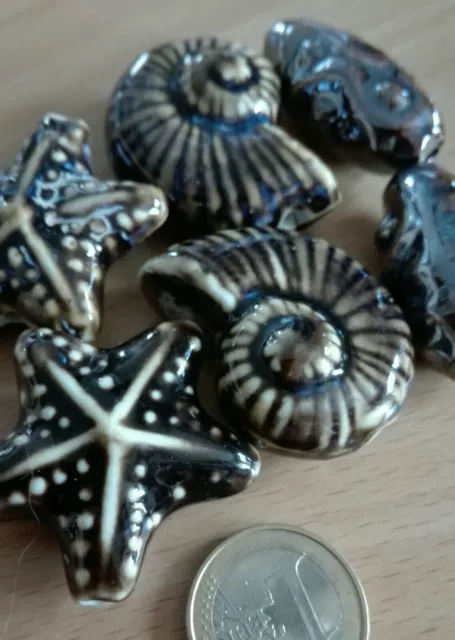 6 Porzellan Keramik Perlen DIY Seestern Mix  muschel schnecke braun