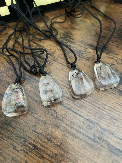 Insect Bug Beetle In Resin With Black Adjustable Necklace Entomology Taxidermy