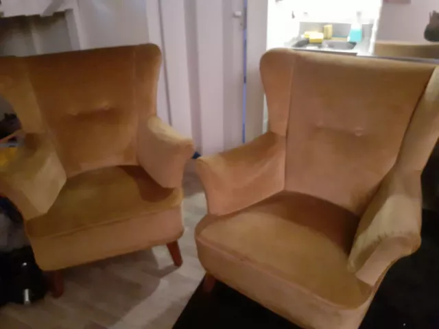 Coppia Poltrone Bergere in Velluto