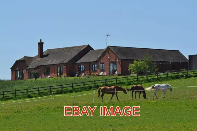 Photo  Alvecote Horses Grazing On The Land Of A Property This Photograph Was Tak