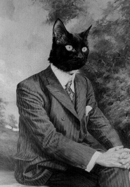 Antique Halloween Cat Head Man Photo 1336 Oddleys Strange & Bizarre