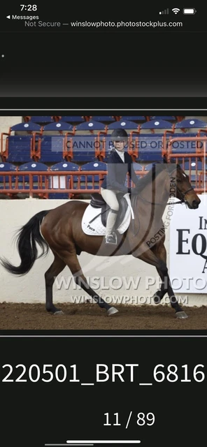 Pessoa Close contact Saddle 16.5, Excellent Shape