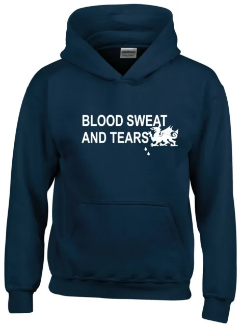 Wales Blood Sweat & Tears Rugby Nations 6 Hoodies Kids