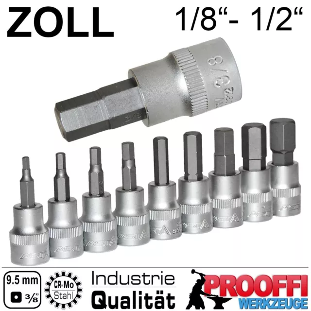 9 tlg. Zoll Stecknuss 1/8" - 1/2" für Inbus Schraube Ratschen Antrieb 3/8" HIN38