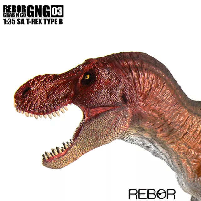 Tyrannosaurus Rex T-Rex Rebor Grab N Go 02 SA Type B 2