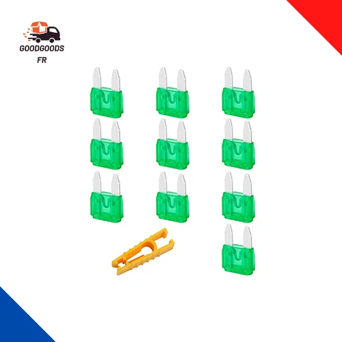 Lot De 10 Fusibles Pour Voiture 30 a Mini Fusibles Plats Pour Voiture