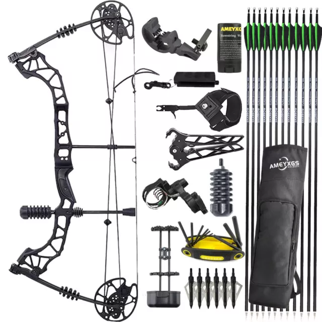 Compoundbogen Carbonpfeil Set Einstellbar 35-70lbs Sportbogen Bogenschießen Jagd