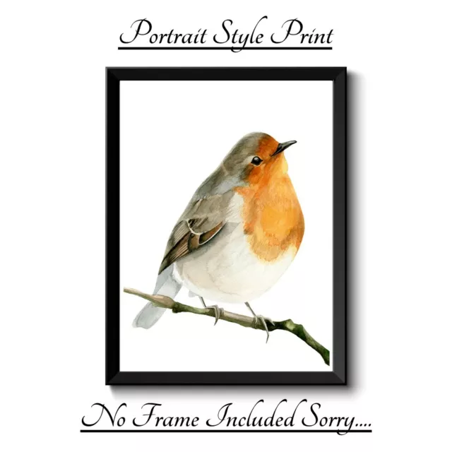 Robin Bird A4 Print Picture Poster Image Wall Art Home Decor Unframed Gift New