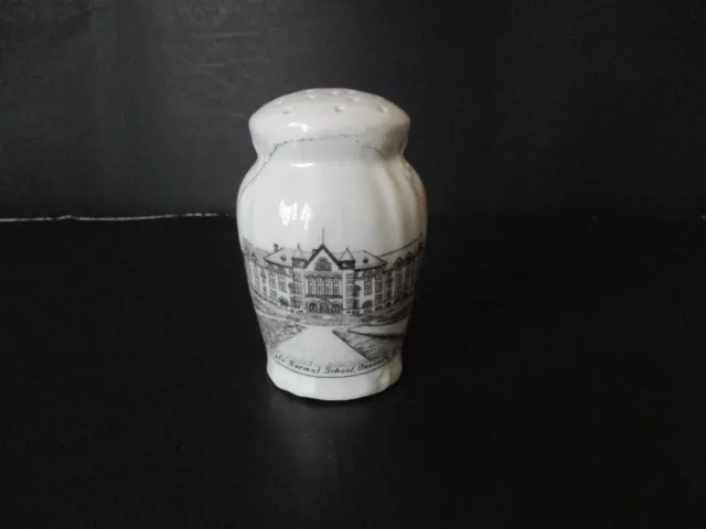 Circa 1910 Souvenir Porcelain Shaker State Normal School SUNY Oneonta New York