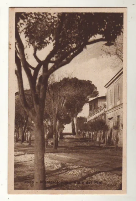 cartoline Monterotondo(Grosseto),viale dei pini