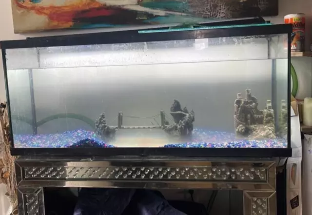 55 Gallon Fish Tank Aquarium with $$$ Accessories 48x21x13 in FISH AQUARIUM