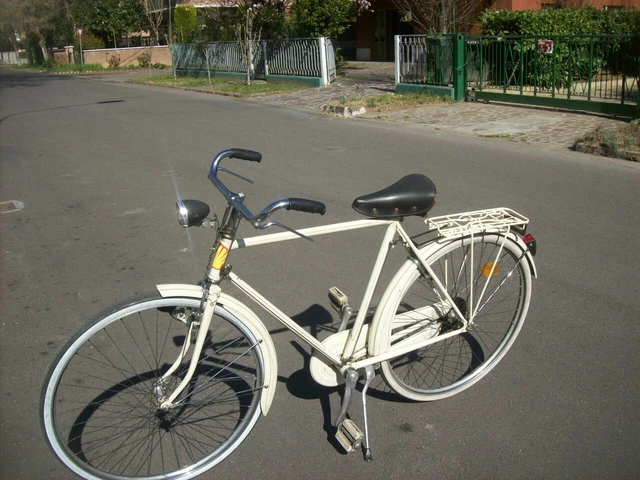 BICICLETTA UOMO FRENI bacchetta marca regina di romagna EUR 56,50