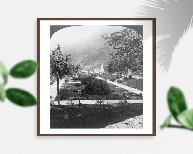 Photo: Beautiful Botanical Gardens,Hong Kong,China,c1909,Streetlamp