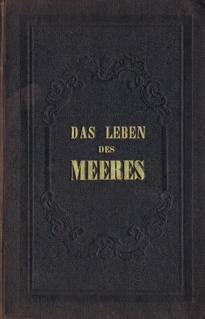 Das Leben des Meeres  Eine Darstellung für Gebildete von Dr. Georg Hartwig 1858