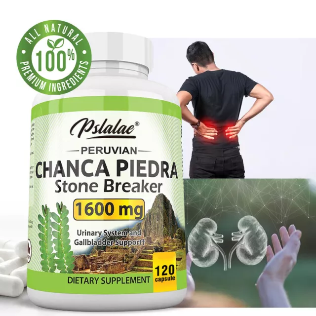 Chanca Piedra Capsules 1600mg - Phyllanthus Niruri, Kidney Stone Breaker