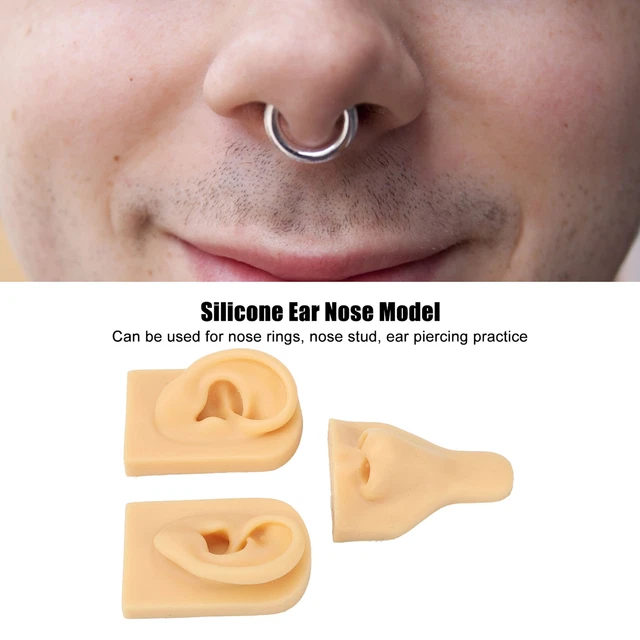 Modello 'orecchio Del Naso In Silicone 3D Simulazione Set Del Modello D DB3