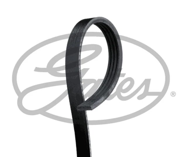 Cinghia trapezoidale GATES MICRO-V® 4PK1770 poliestere per TOYOTA YARIS SCP10_ LEXUS