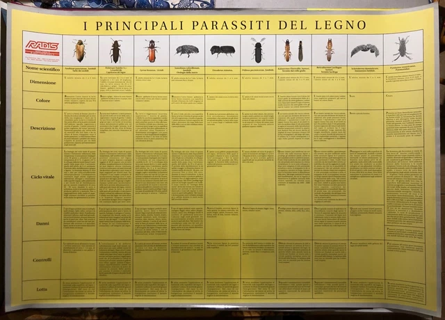 poster, I principali parassiti del legno, 67,5x97,5
