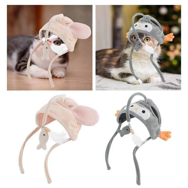Jouet en plumes de chat portable Accessoires pour chat Fournitures pour animaux