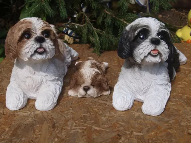 Shih Tzu Deko Figur lebensgroß Hunde Bolonka Deko Garten Hotant NEU