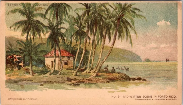 Antique 1903 Postcard / Mid-Winter Scene In Porto Rico / Puerto Rico. A10