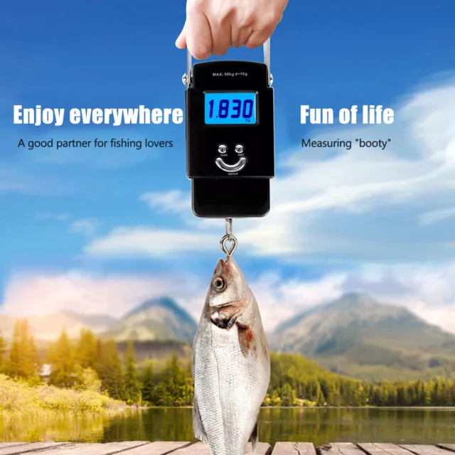 PORTABLE 110LB 50KG Electronic Weighing Hanging Hook Scale Mini Digital  Scales EUR 8,27 - PicClick FR