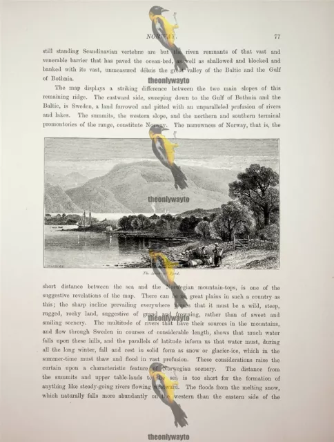 Stravanger Fjord, Norway, Book Illustration (Print), c1875