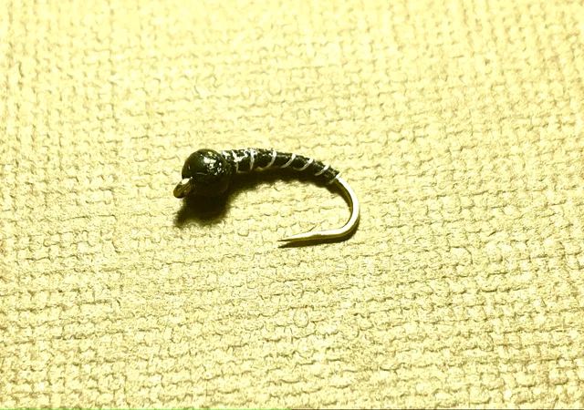 12 Tungsten Bead Head Black Zebra Midge - Fly Fishing Flies