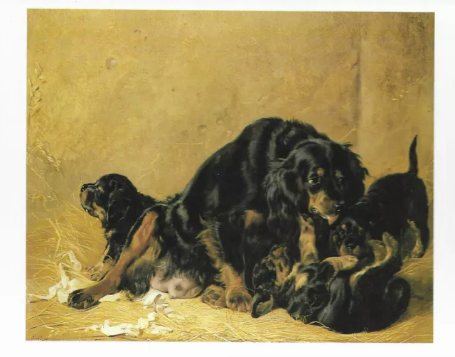 Gordon Setter w/Pups - Color Postcard Dog Art Print - Matted