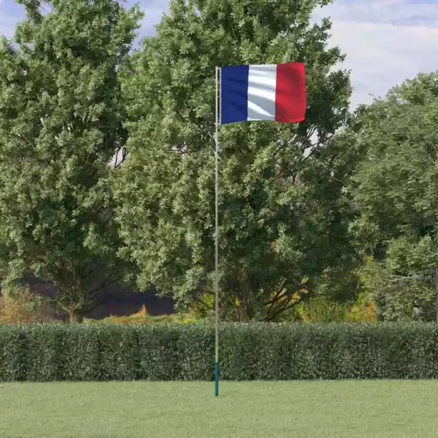 Französische Flagge mit Mast Fahne Frankreich Nationalflagge Länderflagge vidaXL