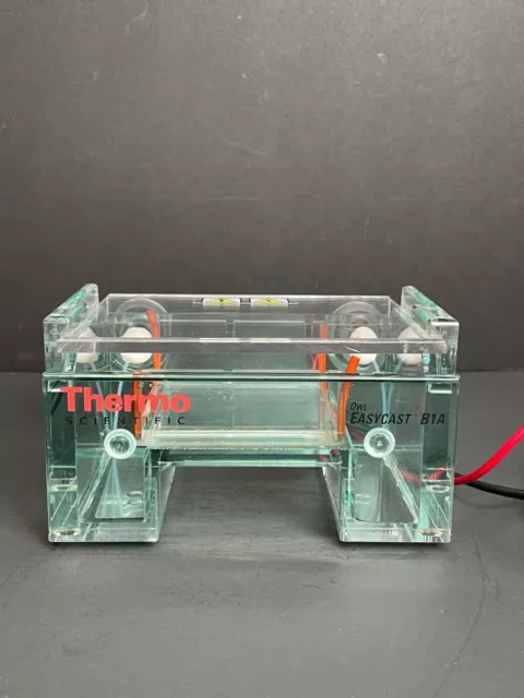 Thermo Scientific Mini Gel Electrophoresis System Owl EasyCast B1A with Tray
