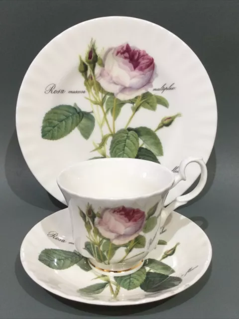 Roy Kirkham Bone China “ Redoute Roses “ Cup, Saucer & Plate Trio