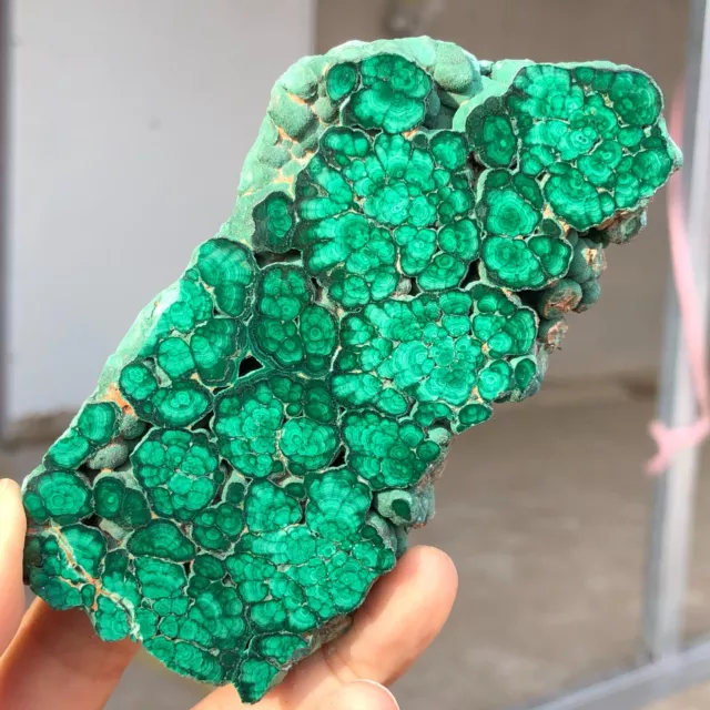 263 g Espécimen mineral de fibra cristal de malaquita verde brillante natural Q417
