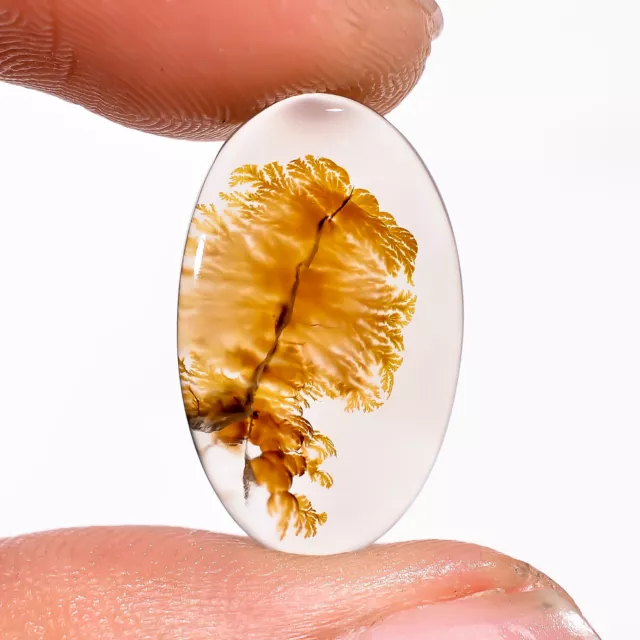 05.50 Cts. Beautiful Scenic Dendritic Agate Oval 19X11X2 MM Cabochon Gemstone