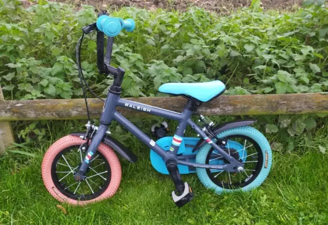 Raleigh pop 16 2025 blue