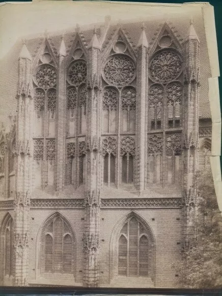 Foto Brandenburg an der Havel, Marienkirche, Fensterrosen - 10575243