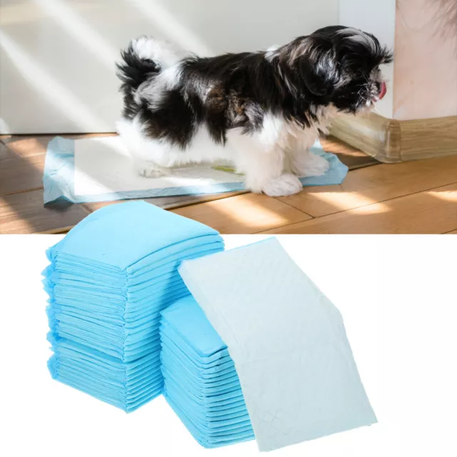 100 Pcs Urinal Pad Rabbit Pee Pads Potty Pet Dog Puppy Diaper Small