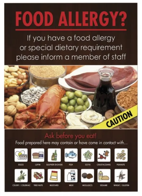 Food Allergy Sign Customer Informing Notice A4 Rigid Aluminum Bar Pub Restaurant