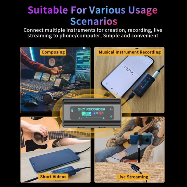 PROFESSIONAL MUSICAL INSTRUMENT Recorder Digital Voice Recorder Music ...