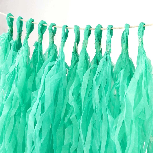 12 PCS Pre-Tied Paper Fringe Tassel Garland, Paper Tinsel Curtains for Wedding