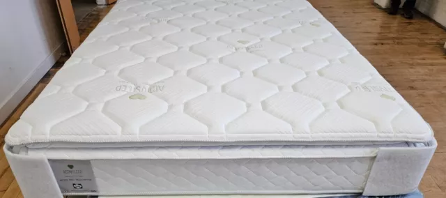 Sealy activsleep pillow new arrivals