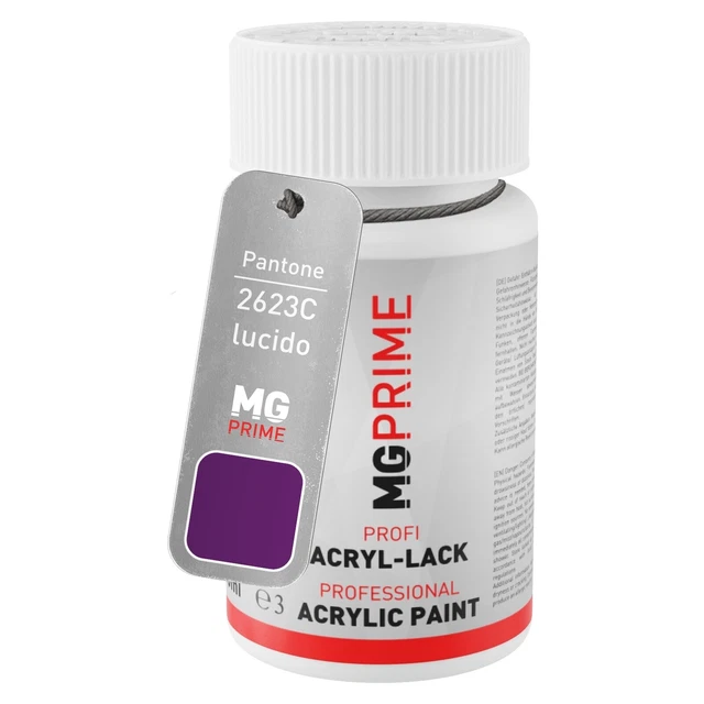 Pantone 2623C Purple lucido Stilo di ritocco da 50 ml ad asciugatura rapida