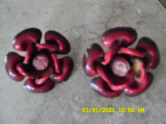 Vintage Metal Flower Curtain Tie-Backs- Push Pins ~ DEEP RED/PINK