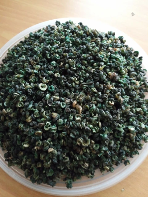 Pervinca secca/Isam. Buona da preparare deliziosa zuppa nigeriana.25 g@£4,40 + £1,55 pos Pervinca secca/Isam. Buona da preparare deliziosa zuppa nigeriana.25 g@£4,40 + £1,55 pos