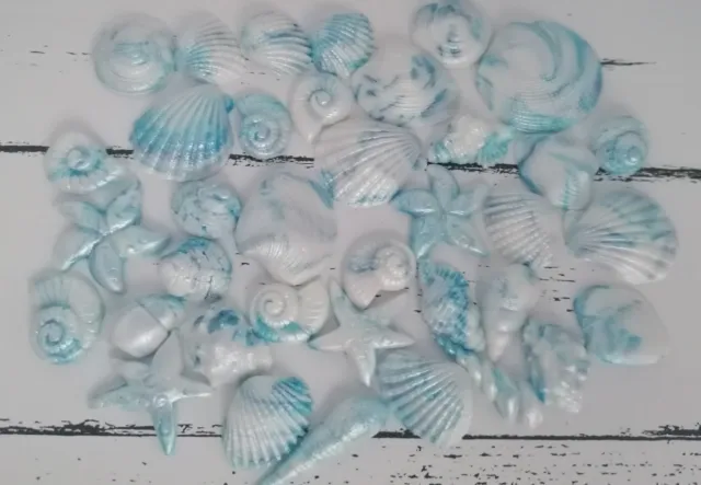 24 shimmer Blue Edible Sugar Icing Sea Shells Beach Cupcake Toppers Cake Mermaid