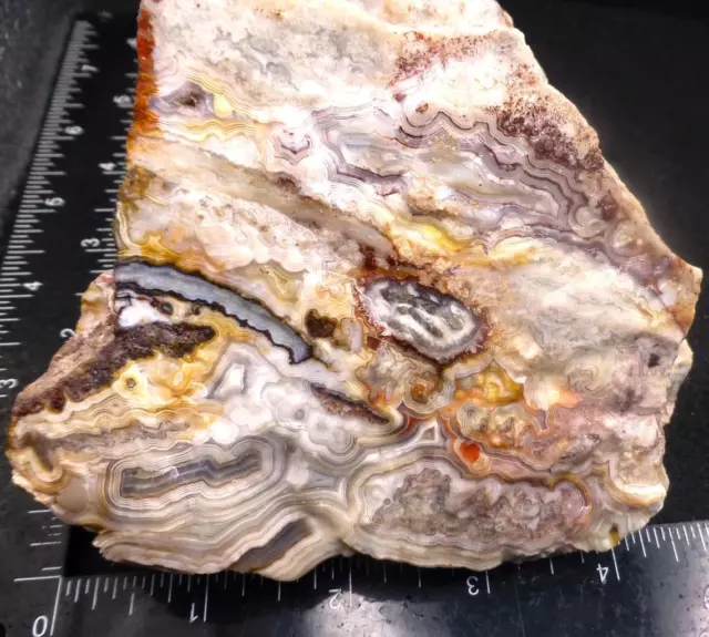 ORCA: Gorgeous Crazy Lace Agate Rough, Chihuahua, Mexico 1 Pound 9 Ounce