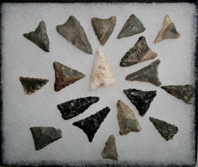 Authentic 18 Triangle/Bird - Arrowheads - Collection w/Case - Ohio - Pre-1600's